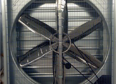 點擊查看詳細信息<br>標題：Heavy Hammer Type Animal Husbandry Fan 閱讀次數(shù)：1465